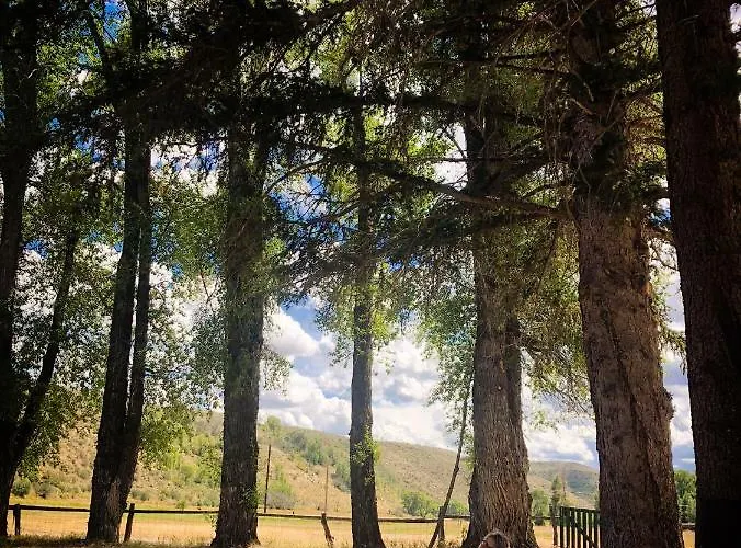 Boyer Yl Ranch